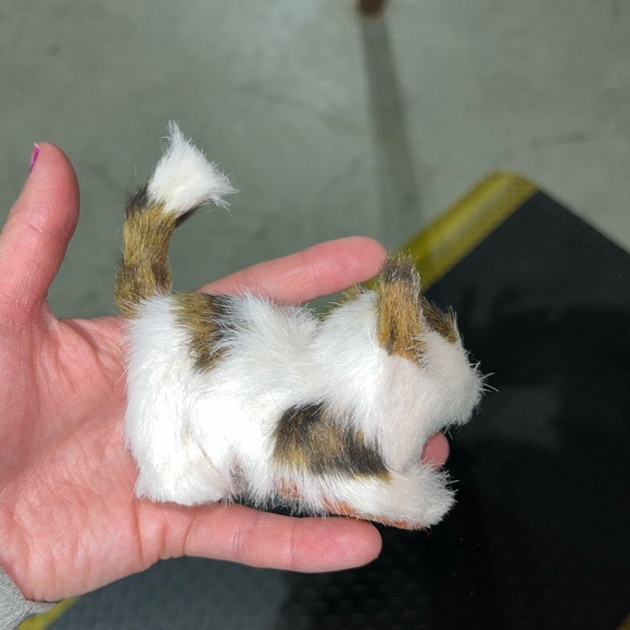 CAT DECOR - Picture 3 of 4